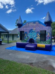 285310050 327469962880577 612077807960435474 n 1674742244 Disney Princess Bounce House