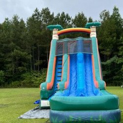 291025647 345550387739201 7108104442718558370 n 1714402844 27ft Desert Storm Dual Lane Waterslide W/Pool